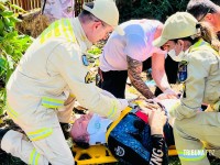 Siate socorre homem que caiu de uma árvore de seis metros no Jardim São Roque