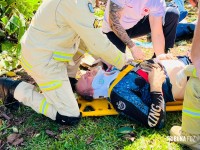 Siate socorre homem que caiu de uma árvore de seis metros no Jardim São Roque