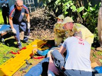 Siate socorre homem que caiu de uma árvore de seis metros no Jardim São Roque