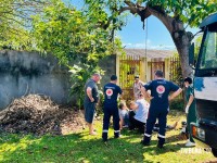 Siate socorre homem que caiu de uma árvore de seis metros no Jardim São Roque