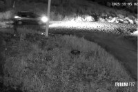 Tentativa de roubo de maquinas de criptomoedas termina com dois mortos e um ferido durante em Ciudad Del Este