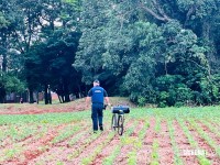 Homem é preso pela GM com mandado de prisão por homicídio no Bairro Três Lagoas