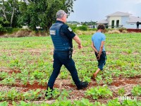 Homem é preso pela GM com mandado de prisão por homicídio no Bairro Três Lagoas