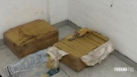 Ação conjunta da PF, PM e PC apreende 182,6 Kg de maconha em Foz do Iguaçu