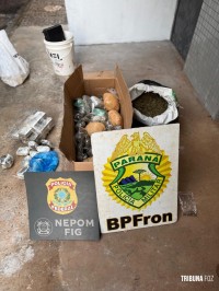 PF e PM apreende drogas e munições na Favela da Sadia em Foz do Iguaçu