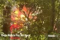 Barraco pega fogo e cachorrinho é salvo pelos bombeiros no Jardim IPÊ