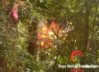 Barraco pega fogo e cachorrinho é salvo pelos bombeiros no Jardim IPÊ