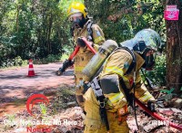Barraco pega fogo e cachorrinho é salvo pelos bombeiros no Jardim IPÊ