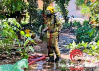 Barraco pega fogo e cachorrinho é salvo pelos bombeiros no Jardim IPÊ