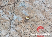 Homem é executado a tiros dentro de Corolla no bairro Três Lagoas 