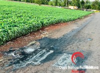 Carro usado em crime de homicídio é incendiado próximo ao Lago de Itaipu