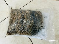 Entorpecente é abandonado às margens da BR-277 após indivíduo perceber fiscalização da PRF Entorpecente é abandonado às margens da BR-277 após indivíduo perceber fiscalização da PRF