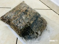 Entorpecente é abandonado às margens da BR-277 após indivíduo perceber fiscalização da PRF Entorpecente é abandonado às margens da BR-277 após indivíduo perceber fiscalização da PRF