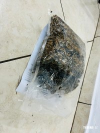 Entorpecente é abandonado às margens da BR-277 após indivíduo perceber fiscalização da PRF Entorpecente é abandonado às margens da BR-277 após indivíduo perceber fiscalização da PRF