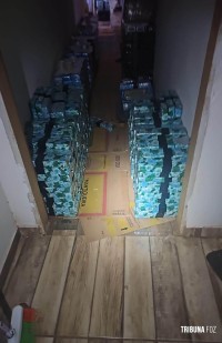 DENARC e PM apreendem 582 Kg de maconha, carregador de pistola e munições em Foz do Iguaçu