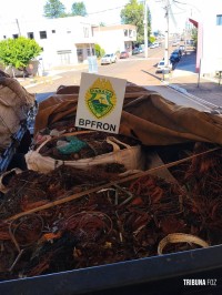 BPFRON, PF e RF apreendem dois caminhões carregados com 30 toneladas de cobre em Santo Antônio do Sudoeste