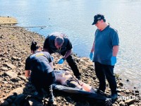 Corpo de homem desaparecido é encontrado no Rio Paraná