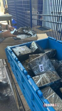 Receita Federal apreende R$ 1 milhão em mercadorias em caminhão de medicamentos no centro de Foz