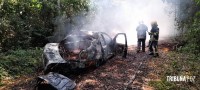 Carro pega fogo e coloca em risco incêndio na mata as margens do Parque Nacional do Iguaçu