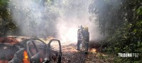 Carro pega fogo e coloca em risco incêndio na mata as margens do Parque Nacional do Iguaçu