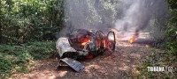 Carro pega fogo e coloca em risco incêndio na mata as margens do Parque Nacional do Iguaçu