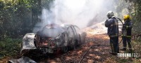 Carro pega fogo e coloca em risco incêndio na mata as margens do Parque Nacional do Iguaçu