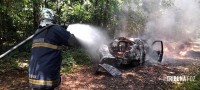 Carro pega fogo e coloca em risco incêndio na mata as margens do Parque Nacional do Iguaçu