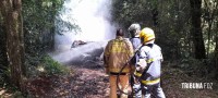 Carro pega fogo e coloca em risco incêndio na mata as margens do Parque Nacional do Iguaçu