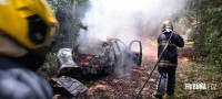 Carro pega fogo e coloca em risco incêndio na mata as margens do Parque Nacional do Iguaçu