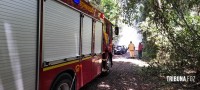 Carro pega fogo e coloca em risco incêndio na mata as margens do Parque Nacional do Iguaçu