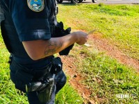 Briga violenta entre irmãos deixa um esfaqueado e outro ferido com braço quebrado no Bairro Cidade Nova 