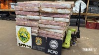 Policia Federal apreende 1.026 Kg de maconha em Santa Helena