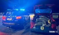 Homem é preso pela PRF com quase 100 Kg de drogas na BR-277 em Medianeira