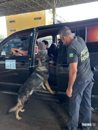 Policia Federal intensifica fiscalização na fronteira com o Paraguai durante o mês de dezembro