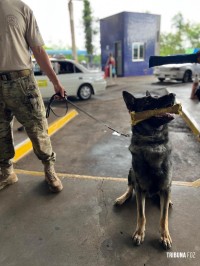 Policia Federal intensifica fiscalização na fronteira com o Paraguai durante o mês de dezembro