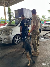 Policia Federal intensifica fiscalização na fronteira com o Paraguai durante o mês de dezembro