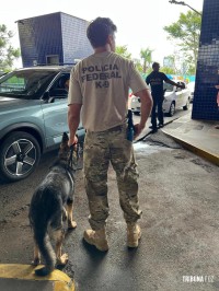 Policia Federal intensifica fiscalização na fronteira com o Paraguai durante o mês de dezembro