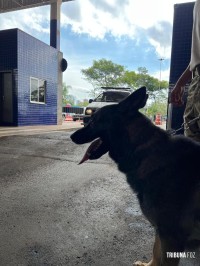 Policia Federal intensifica fiscalização na fronteira com o Paraguai durante o mês de dezembro