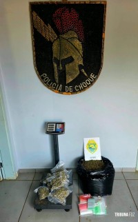 Polícia Militar apreende drogas na Favela da Sadia