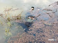 Corpo de homem é encontrado boiando no Rio Paraná em Foz do Iguaçu