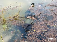 Corpo de homem é encontrado boiando no Rio Paraná em Foz do Iguaçu