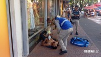 "Turista" argentino é agredido a pauladas em plena Av. Brasil