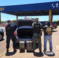 FICCO/PR aprende 60 Kg de maconha em veiculo na BR-277