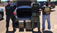 FICCO/PR aprende 60 Kg de maconha em veiculo na BR-277
