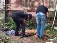 Homem é morto a pedradas na Vila Portes 