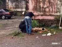 Homem é morto a pedradas na Vila Portes 