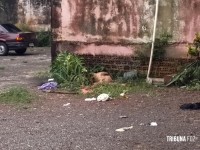 Homem é morto a pedradas na Vila Portes 