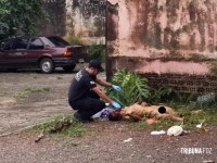 Homem é morto a pedradas na Vila Portes 