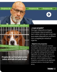 Soldado Fruet, um ano de atuação e resultados concretos no Legislativo de Foz