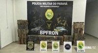 Ação integrada resulta na apreensão de 725 Kg de maconha em Vera Cruz do Oeste